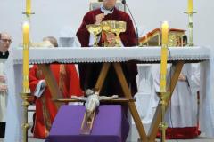 IMG_2443-Copy